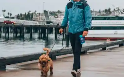 Persona paseando a su perro