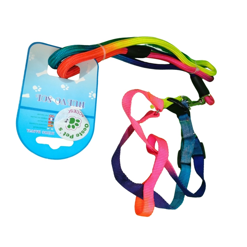 Conjunto pretal y correa arco iris grande
