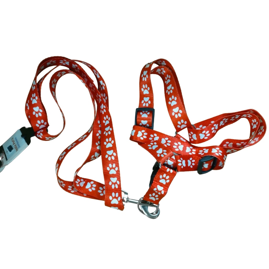 Conjunto pretal y correa eco N-3