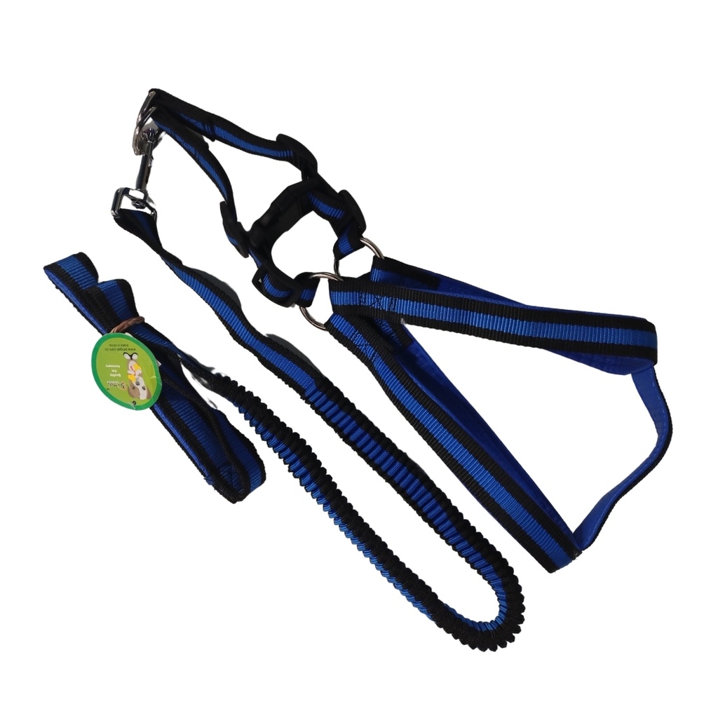 Conjunto pretal y correa elastizada 15mm