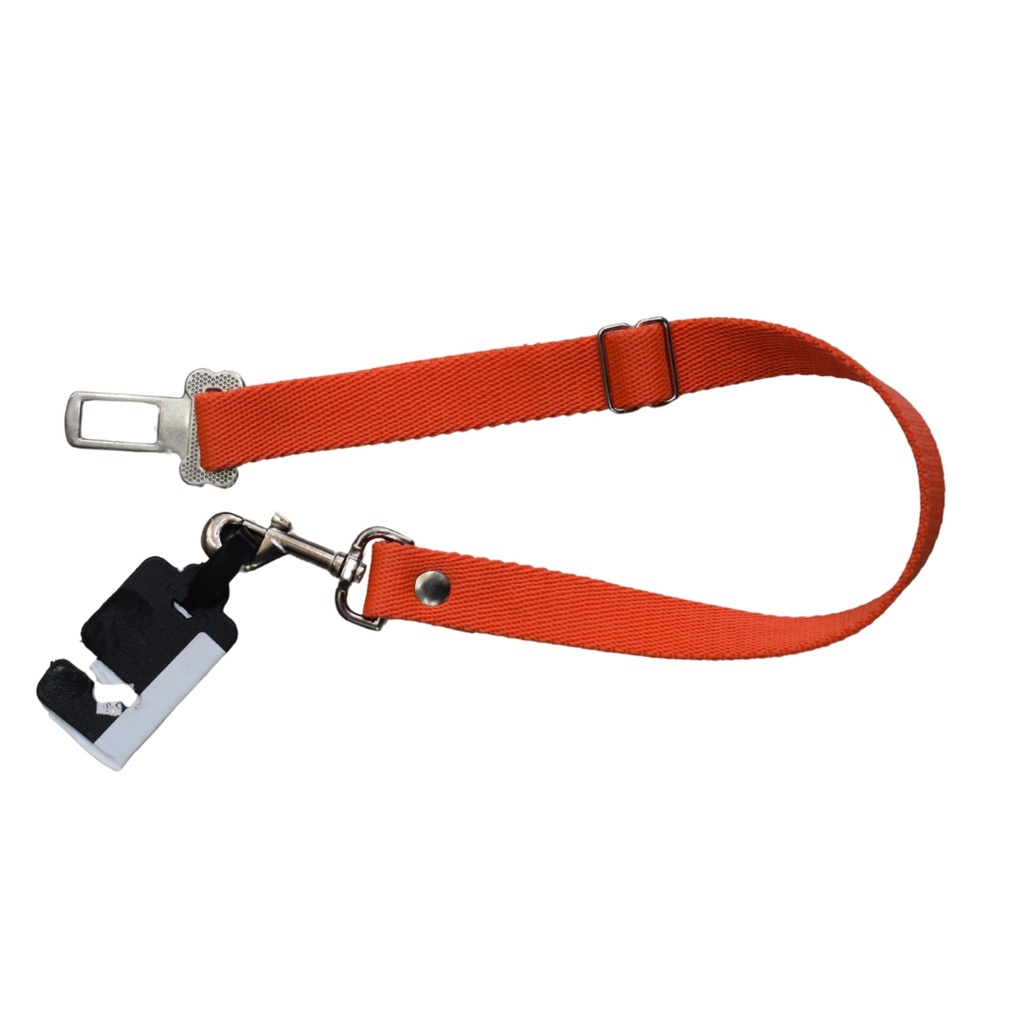Correa de seguridad nylon simple