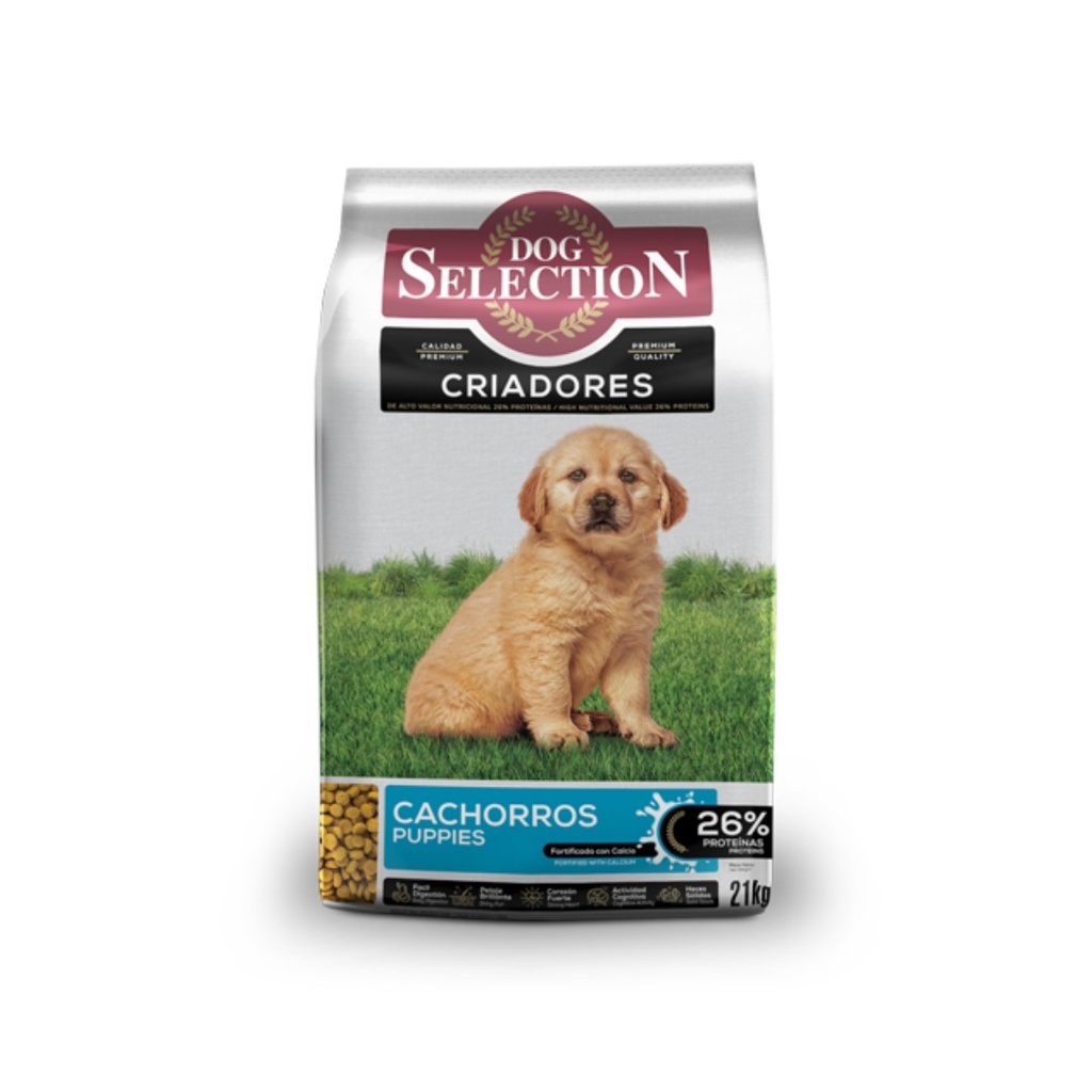 Dog Selection Dog Puppy x 21kg