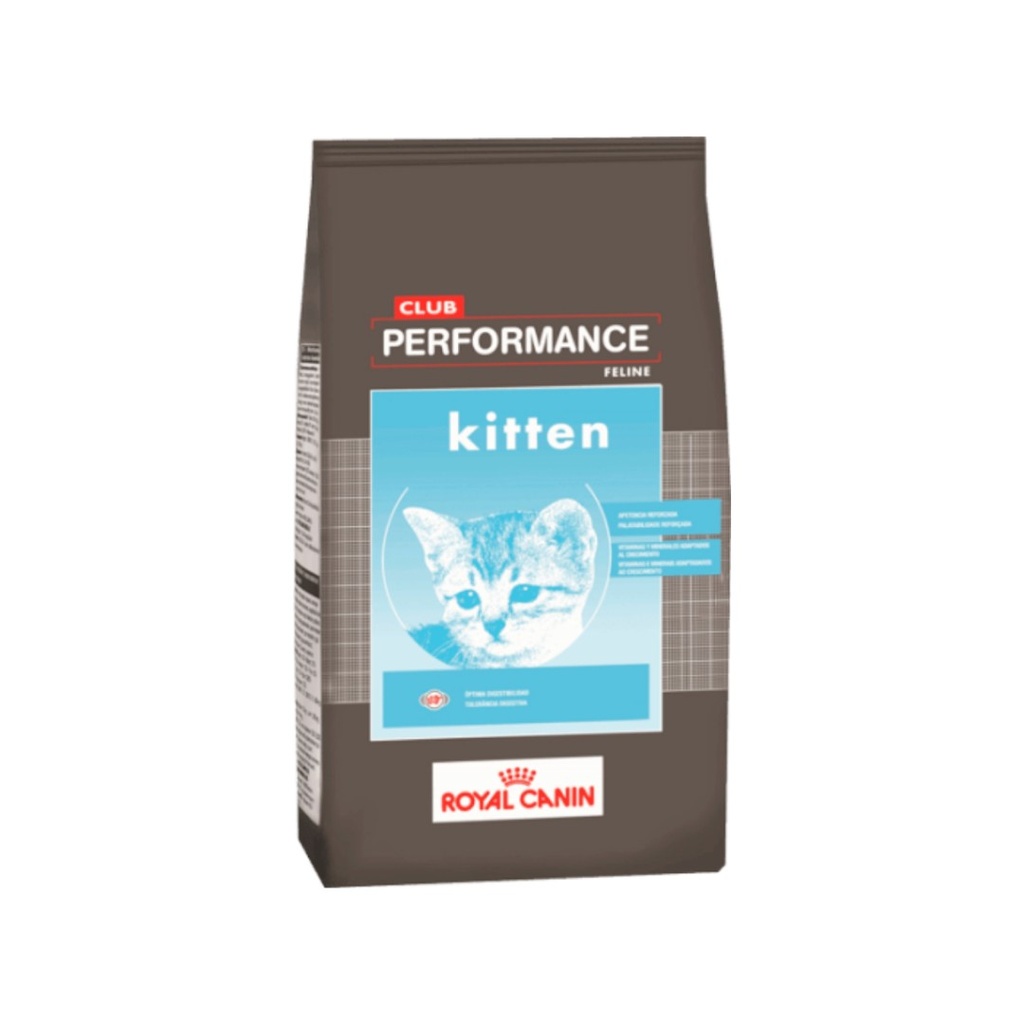 Royal Club Performance Cat Kitten x 1,5kg