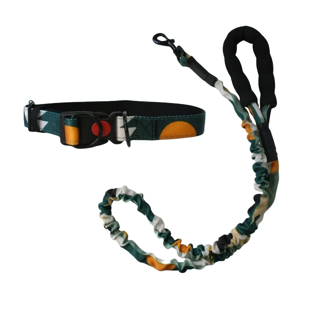 Conjunto collar y correa estampado con mango acolchado