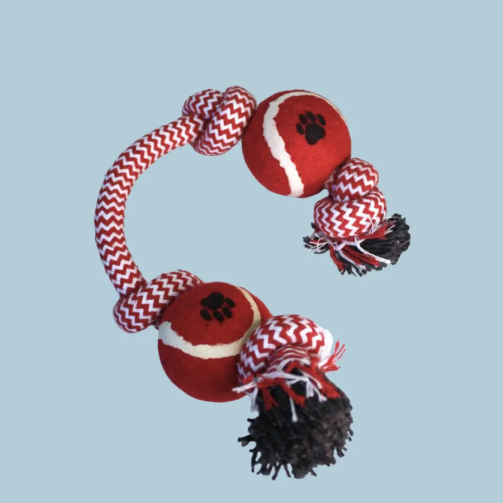 Soga alpina con 2 pelotas