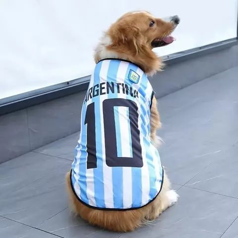 Camiseta selección argentina Talle S