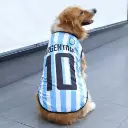 Camiseta selección argentina Talle 3XL
