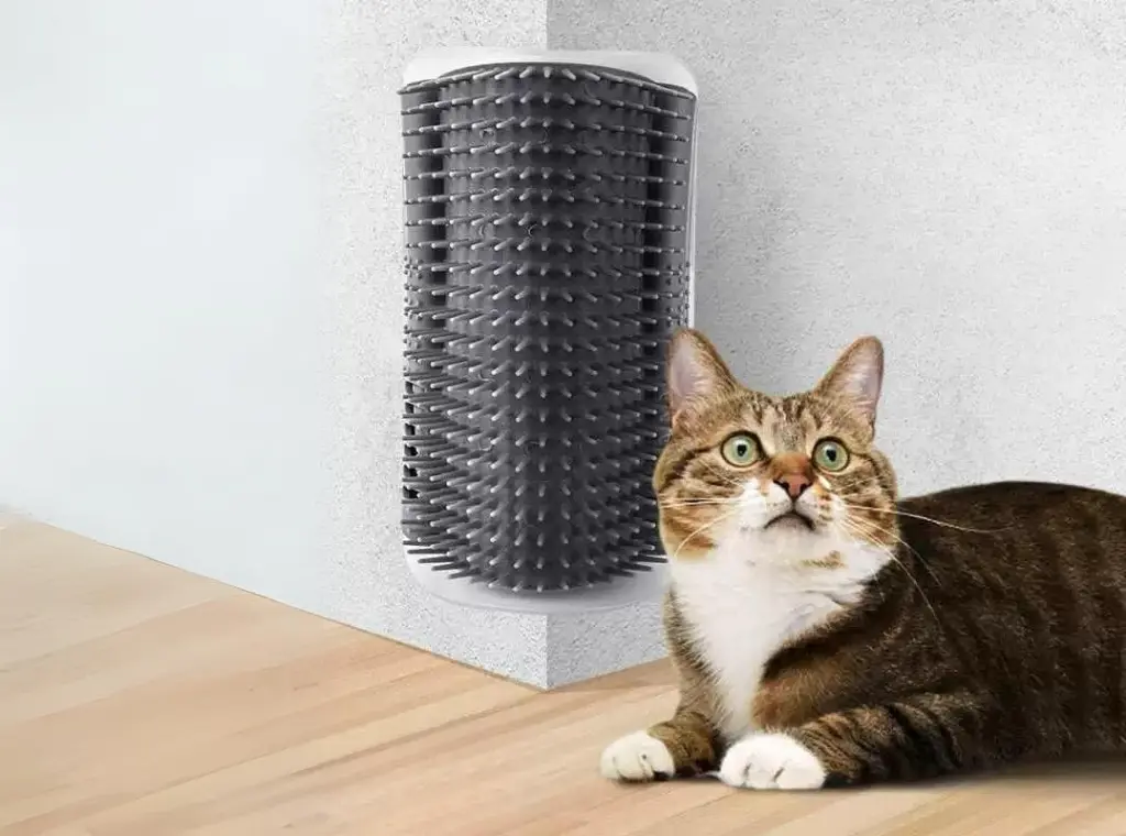 Rascador esquinero con hierba gatera