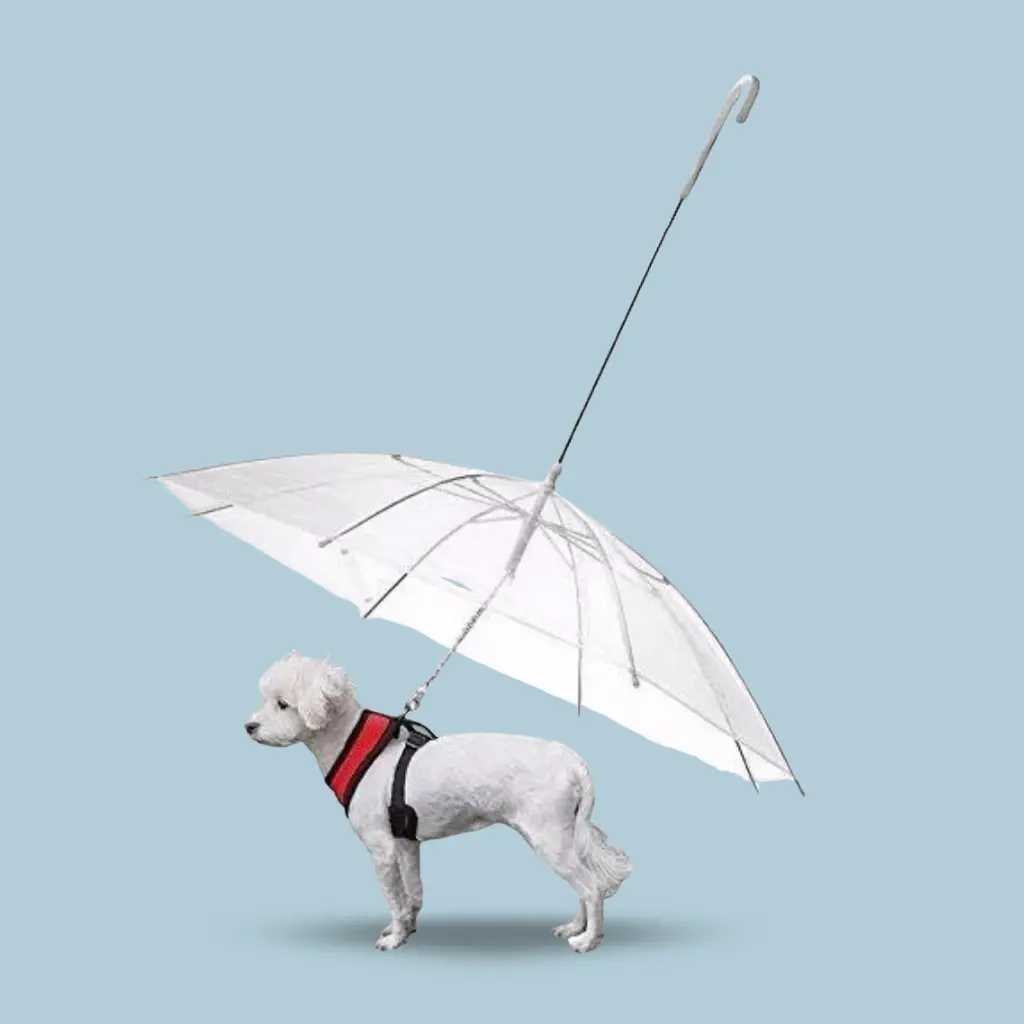 Paraguas para mascota
