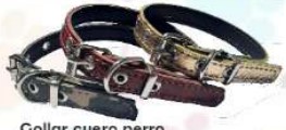 [C-002A] Collar cuero perro chico fantasia 35cm (LUR)