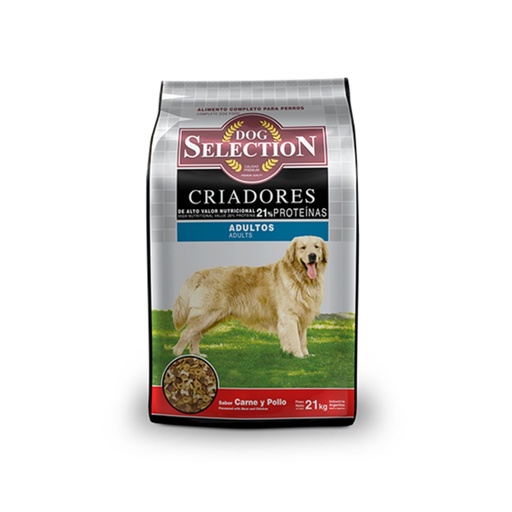 [587] Dog Selection Dog Adulto x 21kg