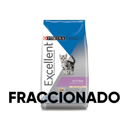 [546925] Excellent Cat Kitten Fraccionado