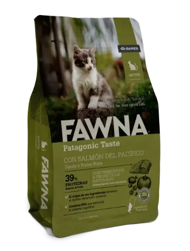 [6648] Fawna gato kitten x 3kg