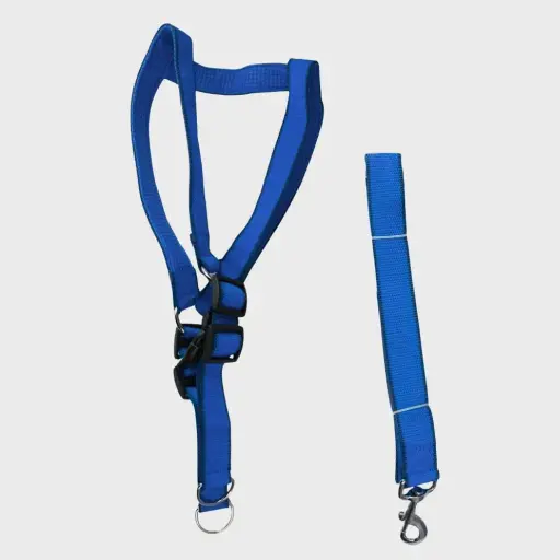 [8688201105124] Conjunto pretal y correa soft 4cm