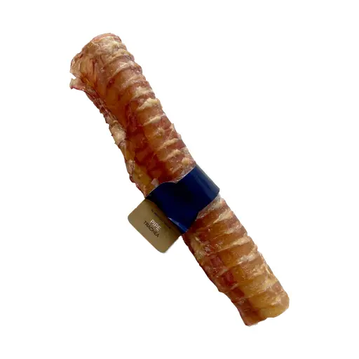[BRU04] Bruler pipe long traquea